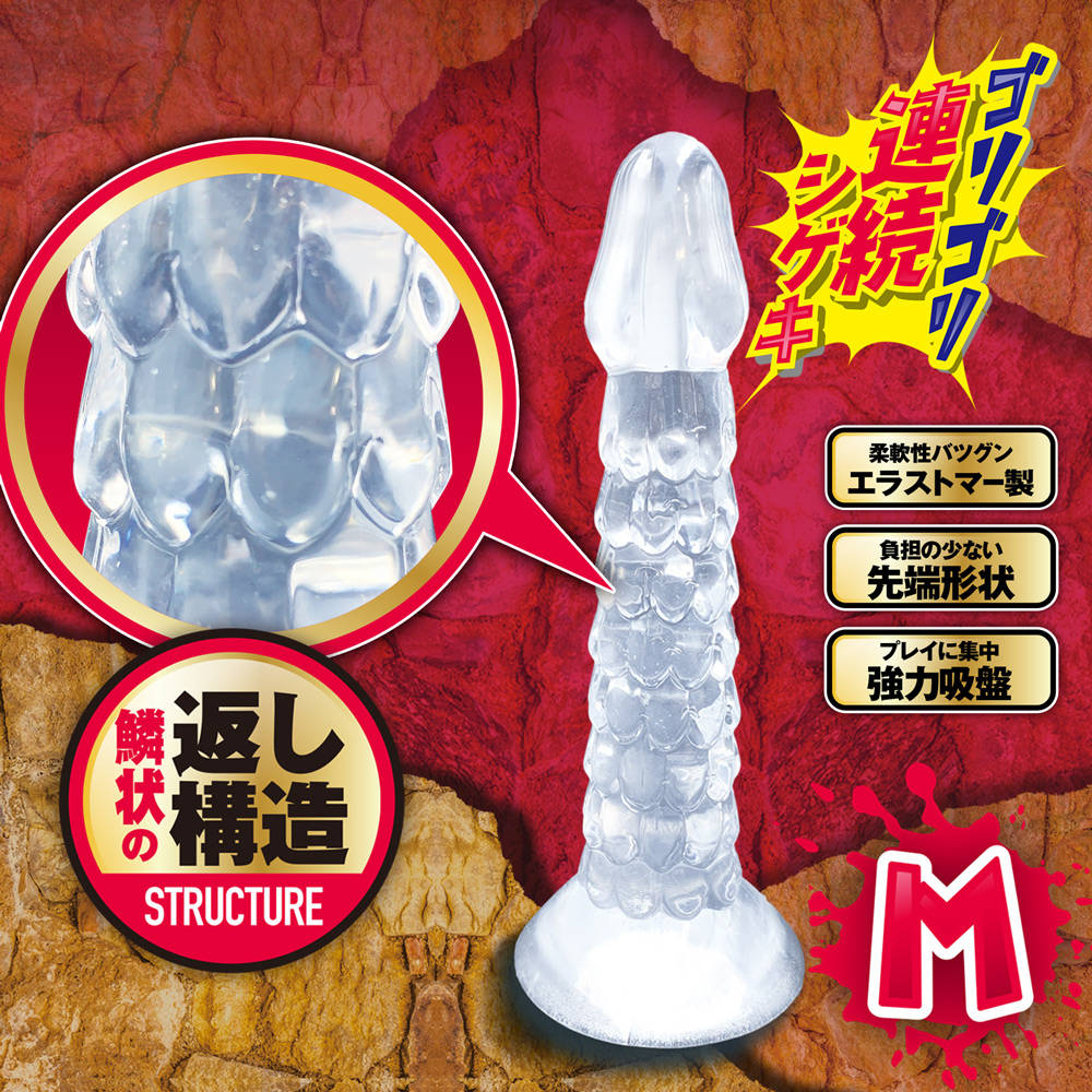 放大