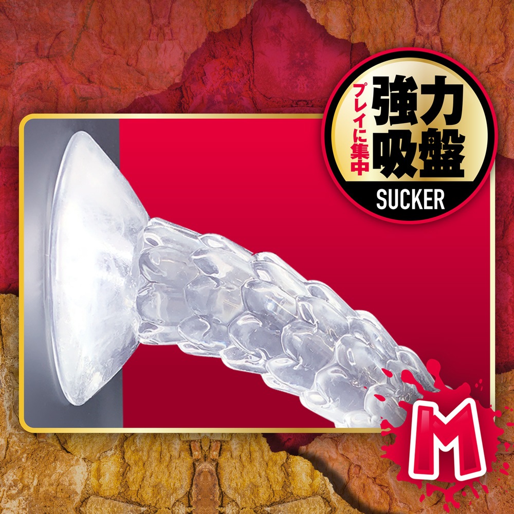 放大